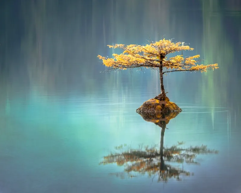 Mindful Breathing and Japa: The Sacred Union of Prana and Sound